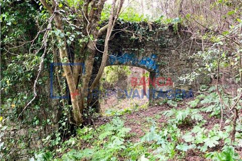 Helårsgrund i Sintra, Lisbon, Sintra - € 1.300.000 | Ref: T-30576 - foto 9