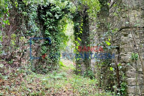 Helårsgrund i Sintra, Lisbon, Sintra - € 1.300.000 | Ref: T-30576 - foto 11