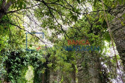 Helårsgrund i Sintra, Lisbon, Sintra - € 1.300.000 | Ref: T-30576 - foto 12