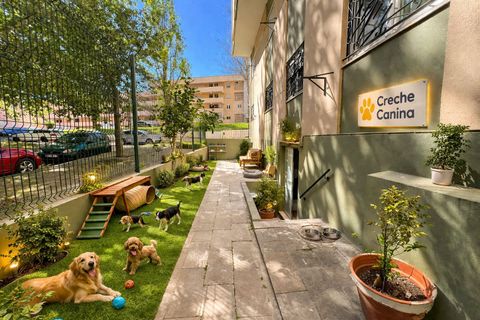 Erhvervsejendom i Setubal, Setubal, Setubal - € 93.450 | Ref: N-30536 - foto 20