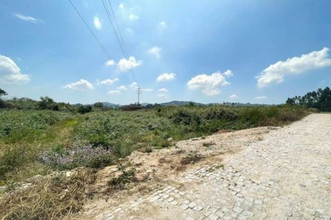Helårsgrund i Paredes, Porto, Paredes - € 250.000 | Ref: T-30581 - foto 3