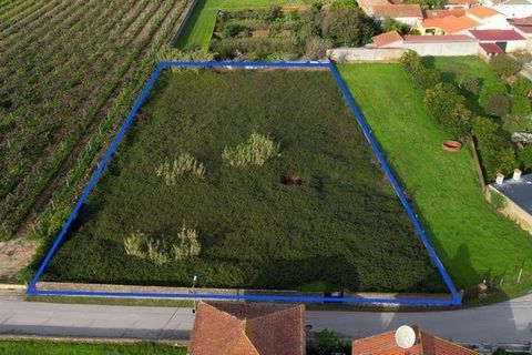 Terra a Anadia, Aveiro, Anadia - € 125.000 | Ref: T-30566 - foto 2