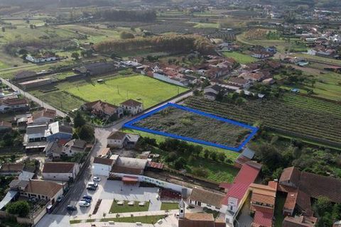 Terra a Anadia, Aveiro, Anadia - € 125.000 | Ref: T-30566 - foto 5