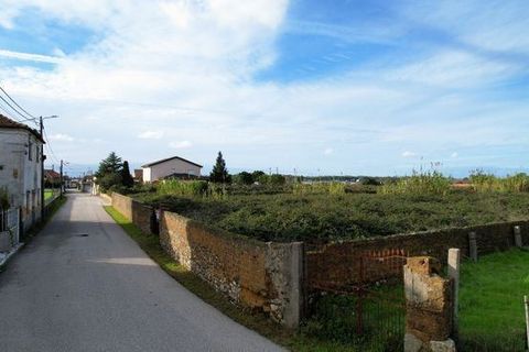 Terra a Anadia, Aveiro, Anadia - € 125.000 | Ref: T-30566 - foto 6