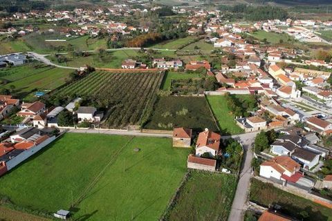 Terra a Anadia, Aveiro, Anadia - € 125.000 | Ref: T-30566 - foto 4