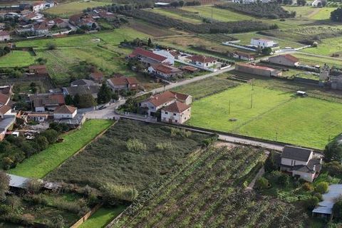 Terra a Anadia, Aveiro, Anadia - € 125.000 | Ref: T-30566 - foto 7
