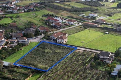 Terra a Anadia, Aveiro, Anadia - € 125.000 | Ref: T-30566 - foto 8