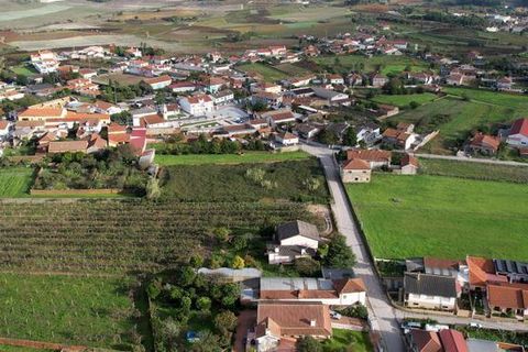 Terra a Anadia, Aveiro, Anadia - € 125.000 | Ref: T-30566 - foto 9