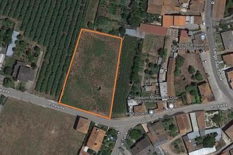 Terra a Anadia, Aveiro, Anadia - € 125.000 | Ref: T-30566 - foto 10