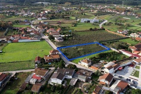 Terra a Anadia, Aveiro, Anadia - € 125.000 | Ref: T-30566 - foto 11
