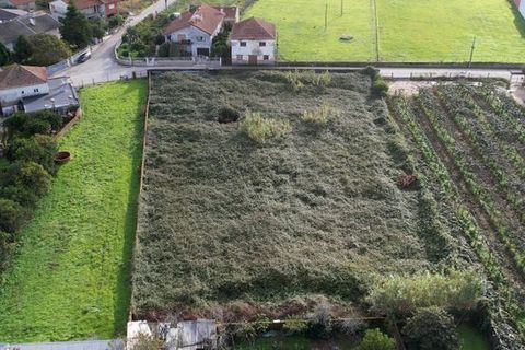 Terra a Anadia, Aveiro, Anadia - € 125.000 | Ref: T-30566 - foto 12