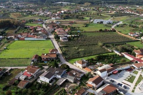 Terra a Anadia, Aveiro, Anadia - € 125.000 | Ref: T-30566 - foto 14