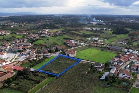 Terra a Anadia, Aveiro, Anadia - € 125.000 | Ref: T-30566 - foto 15