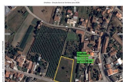 Terra a Anadia, Aveiro, Anadia - € 125.000 | Ref: T-30566 - foto 16
