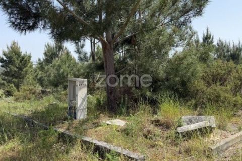 Helårsgrund i Quinta do Conde, Setubal, Quinta do Conde - € 69.000 | Ref: ZMPT587597 - foto 7