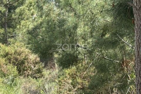 Helårsgrund i Quinta do Conde, Setubal, Quinta do Conde - € 69.000 | Ref: ZMPT587597 - foto 14