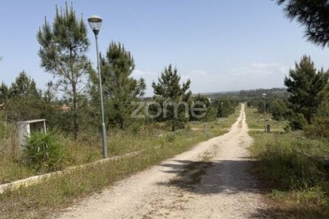 Helårsgrund i Quinta do Conde, Setubal, Quinta do Conde - € 69.000 | Ref: ZMPT587597 - foto 10