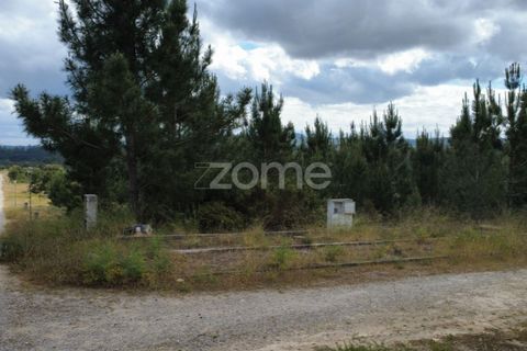 Helårsgrund i Quinta do Conde, Setubal, Quinta do Conde - € 69.000 | Ref: ZMPT587597 - foto 6