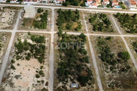 Helårsgrund i Quinta do Conde, Setubal, Quinta do Conde - € 69.000 | Ref: ZMPT587597 - foto 16