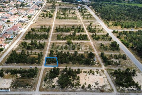 Helårsgrund i Quinta do Conde, Setubal, Quinta do Conde - € 69.000 | Ref: ZMPT587597 - foto 2