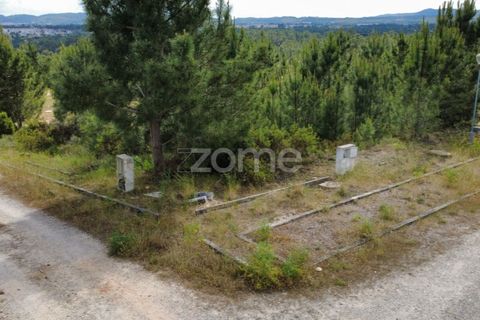 Helårsgrund i Quinta do Conde, Setubal, Quinta do Conde - € 69.000 | Ref: ZMPT587597 - foto 3