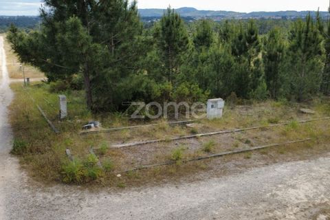 Helårsgrund i Quinta do Conde, Setubal, Quinta do Conde - € 69.000 | Ref: ZMPT587597 - foto 4