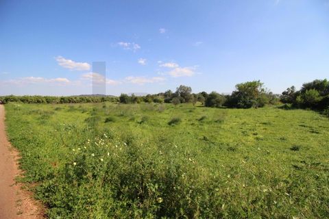 Helårsgrund i Algoz, Faro, Algoz - € 34.000 | Ref: KWPT-031114 - foto 3