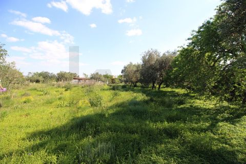 Helårsgrund i Algoz, Faro, Algoz - € 34.000 | Ref: KWPT-031114 - foto 7