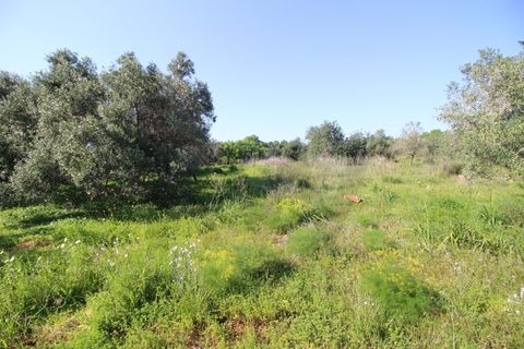 Helårsgrund i Algoz, Faro, Algoz - € 34.000 | Ref: KWPT-031114 - foto 8