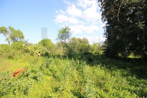 Helårsgrund i Algoz, Faro, Algoz - € 34.000 | Ref: KWPT-031114 - foto 11