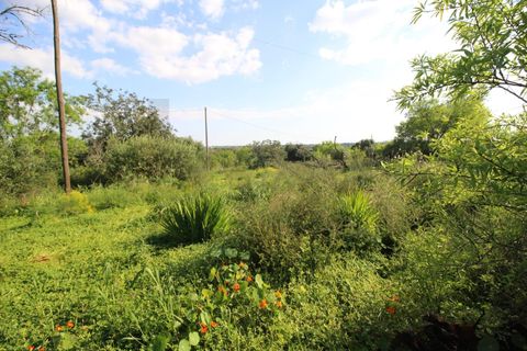 Helårsgrund i Algoz, Faro, Algoz - € 34.000 | Ref: KWPT-031114 - foto 12
