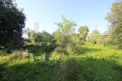 Helårsgrund i Algoz, Faro, Algoz - € 34.000 | Ref: KWPT-031114 - foto 13