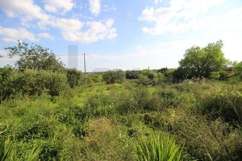 Helårsgrund i Algoz, Faro, Algoz - € 34.000 | Ref: KWPT-031114 - foto 14