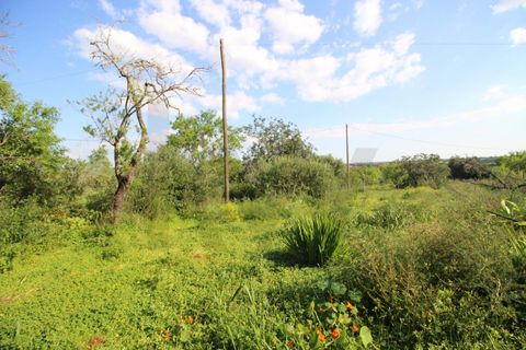 Helårsgrund i Algoz, Faro, Algoz - € 34.000 | Ref: KWPT-031114 - foto 15