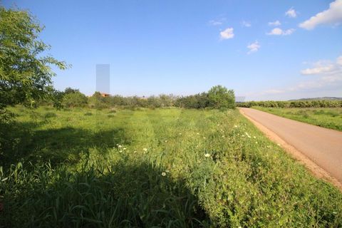 Helårsgrund i Algoz, Faro, Algoz - € 34.000 | Ref: KWPT-031114 - foto 18