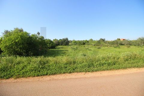 Helårsgrund i Algoz, Faro, Algoz - € 34.000 | Ref: KWPT-031114 - foto 19