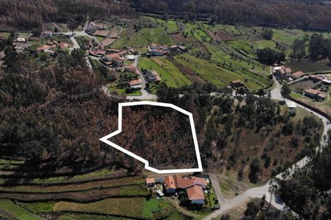 Tomt i Sever do Vouga, Aveiro, Sever do Vouga - € 65 625 | Ref: T-30564 - foto 2