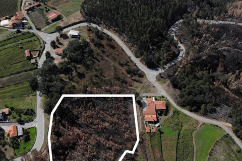 Tomt i Sever do Vouga, Aveiro, Sever do Vouga - € 65 625 | Ref: T-30564 - foto 3