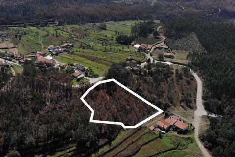 Tomt i Sever do Vouga, Aveiro, Sever do Vouga - € 65 625 | Ref: T-30564 - foto 4