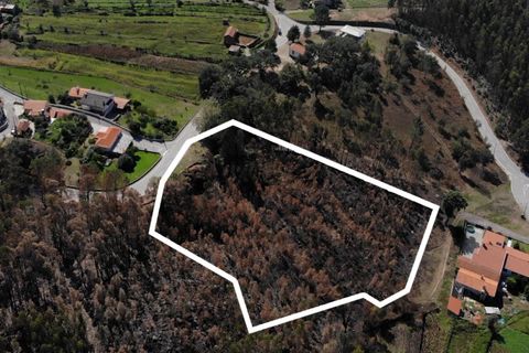 Tomt i Sever do Vouga, Aveiro, Sever do Vouga - € 65 625 | Ref: T-30564 - foto 5