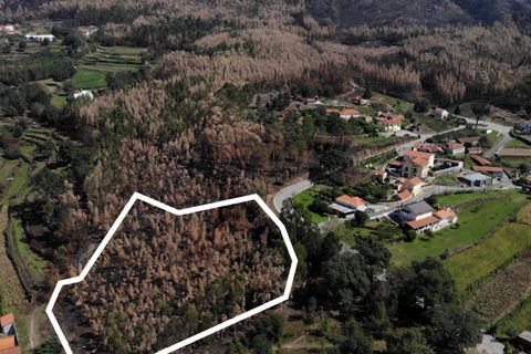 Tomt i Sever do Vouga, Aveiro, Sever do Vouga - € 65 625 | Ref: T-30564 - foto 6