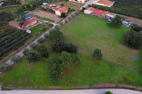 Helårsgrund i Anadia, Aveiro, Anadia - € 150.000 | Ref: T-30567 - foto 2