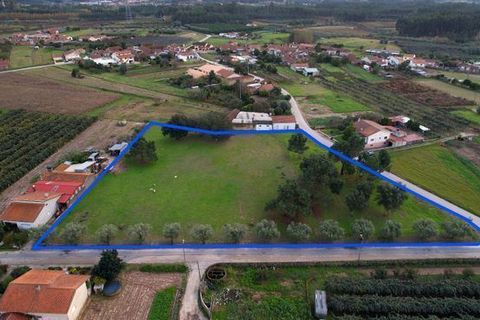 Helårsgrund i Anadia, Aveiro, Anadia - € 150.000 | Ref: T-30567 - foto 1