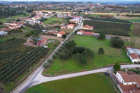 Helårsgrund i Anadia, Aveiro, Anadia - € 150.000 | Ref: T-30567 - foto 3