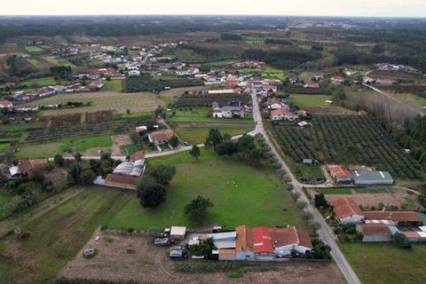 Helårsgrund i Anadia, Aveiro, Anadia - € 150.000 | Ref: T-30567 - foto 4