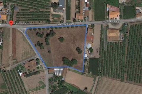 Helårsgrund i Anadia, Aveiro, Anadia - € 150.000 | Ref: T-30567 - foto 5