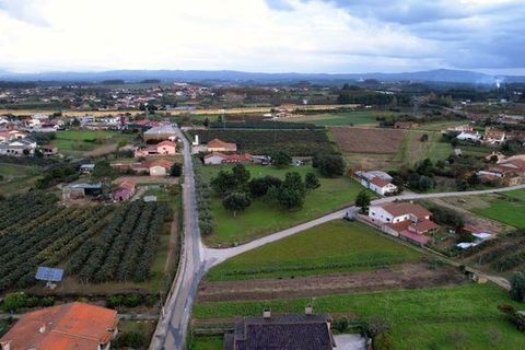 Helårsgrund i Anadia, Aveiro, Anadia - € 150.000 | Ref: T-30567 - foto 6