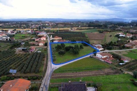 Helårsgrund i Anadia, Aveiro, Anadia - € 150.000 | Ref: T-30567 - foto 7
