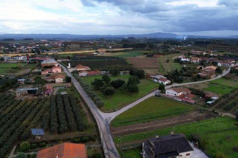 Helårsgrund i Anadia, Aveiro, Anadia - € 150.000 | Ref: T-30567 - foto 9
