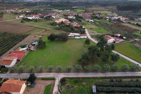 Helårsgrund i Anadia, Aveiro, Anadia - € 150.000 | Ref: T-30567 - foto 10